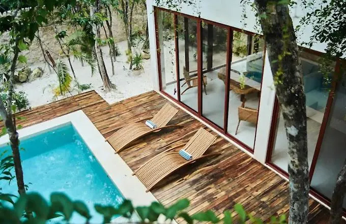 My Dream Jungle Villa With Pool Tulum Mexico